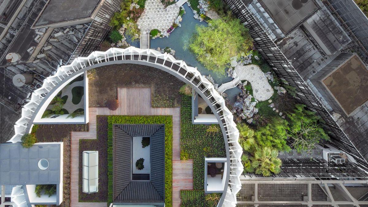 Uma vista do telhado com vegetação e edifícios modernos no fundo.